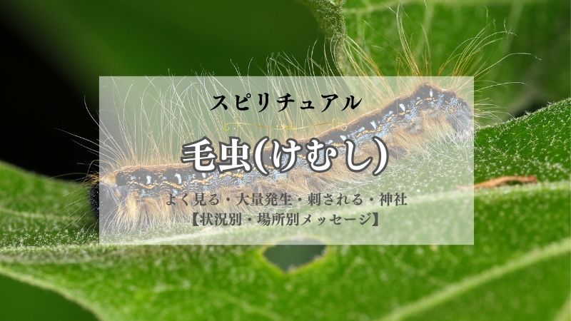 毛虫・けむし・スピリチュアル・意味・よく見る・大量発生・刺される・神社・玄関・メッセージ