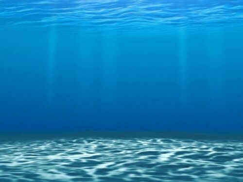 海のスピリチュアルメッセージ