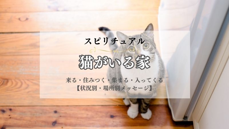 猫がいる家・スピリチュアル・意味・来る・住みつく・集まる・入ってくる・家出・黒猫・状況別
