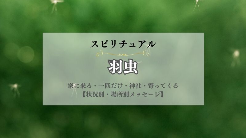 羽虫・スピリチュアル・意味・メッセージ・黒い羽虫・白い羽虫・家の中・幸運・サイン