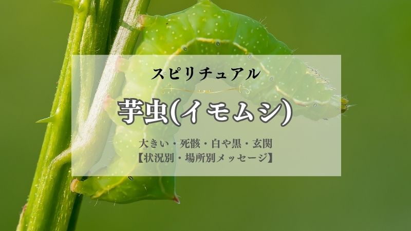 芋虫・イモムシ・スピリチュアル・よく見る・意味・大きい・死骸・白や黒・玄関にいる・メッセージ