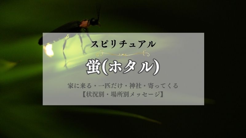 蛍・ホタル・スピリチュアル・意味・家に来る・一匹だけ・神社・寄ってくる・幸運のサイン