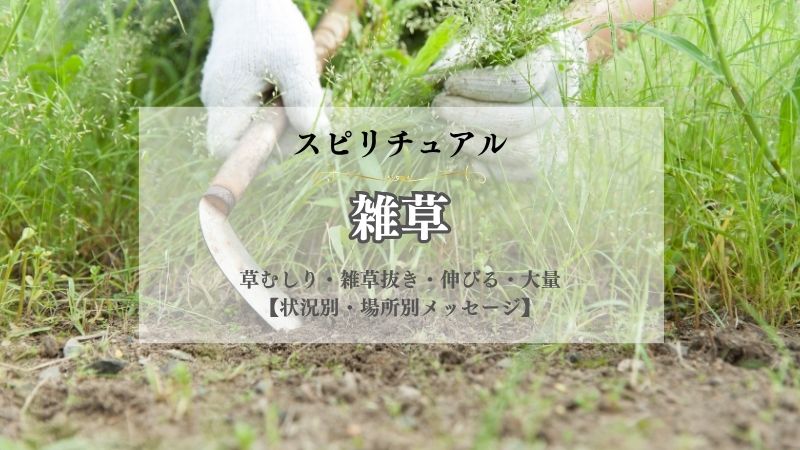 雑草・スピリチュアル・意味・草むしり・雑草抜き・伸びる・大量・放置する・メッセージ
