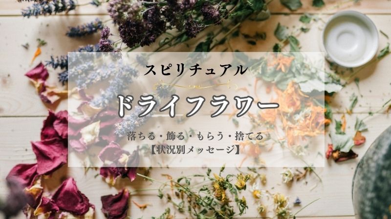 ドライフラワー・スピリチュアル・意味・落ちる・飾る・もらう・捨てる・壊れる・状況別